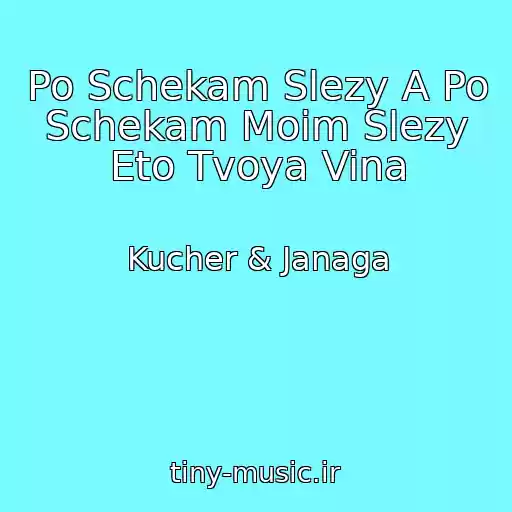 کاور آهنگ Po Schekam Slezy A Po Schekam Moim Slezy Eto Tvoya Vina از Kucher & Janaga