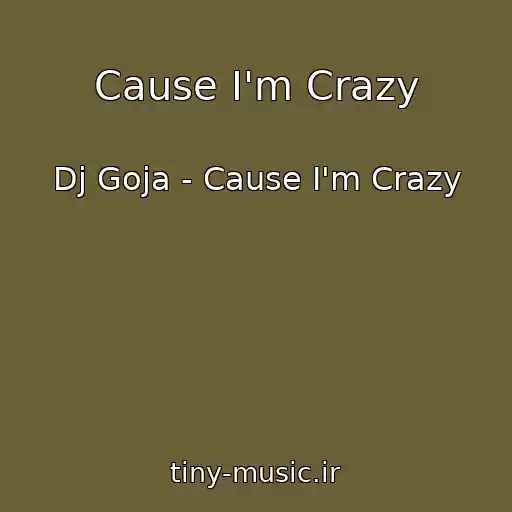 کاور آهنگ Cause I'm Crazy از Dj Goja - Cause I'm Crazy