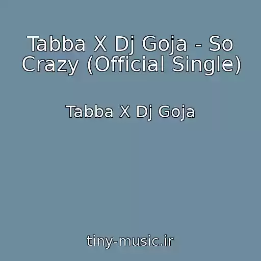 کاور آهنگ Tabba X Dj Goja - So Crazy (Official Single) از Tabba X Dj Goja