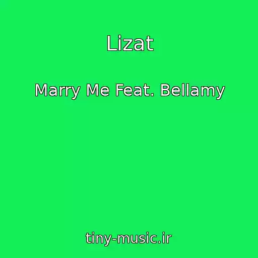 کاور آهنگ Lizat از Marry Me Feat. Bellamy