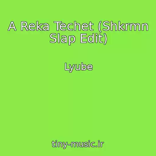 کاور آهنگ A Reka Techet (Shkrmn Slap Edit) از Lyube