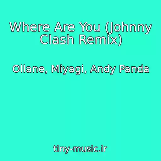 کاور آهنگ Where Are You (Johnny Clash Remix) از Ollane, Miyagi, Andy Panda