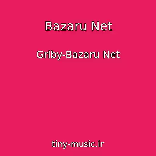 کاور آهنگ Bazaru Net از Griby-Bazaru Net