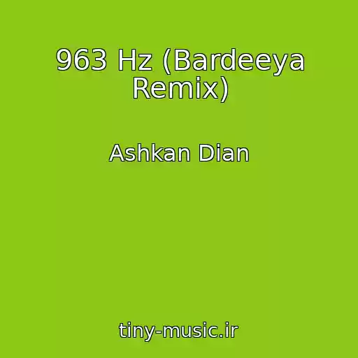 کاور آهنگ 963 Hz (Bardeeya Remix) از Ashkan Dian