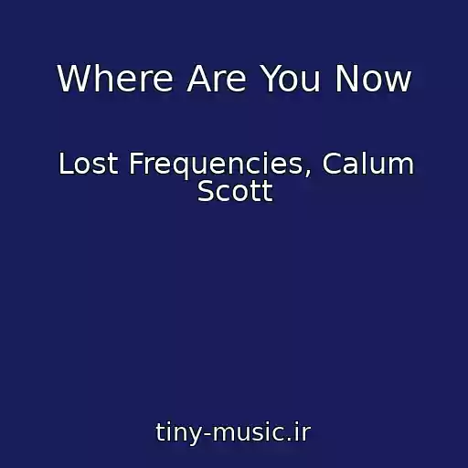 کاور آهنگ Where Are You Now از Lost Frequencies, Calum Scott