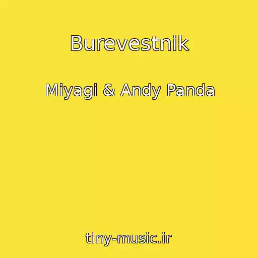 کاور آهنگ Burevestnik از Miyagi & Andy Panda