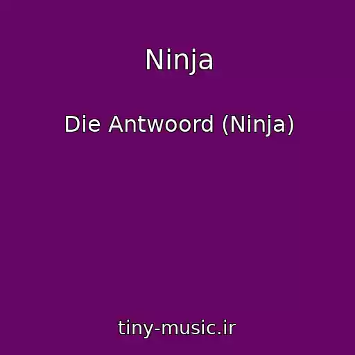 کاور آهنگ Ninja از Die Antwoord (Ninja)