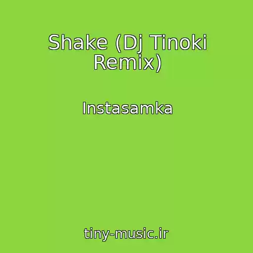 کاور آهنگ Shake (Dj Tinoki Remix) از Instasamka