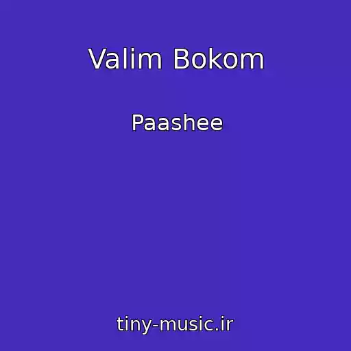 کاور آهنگ Valim Bokom از Paashee