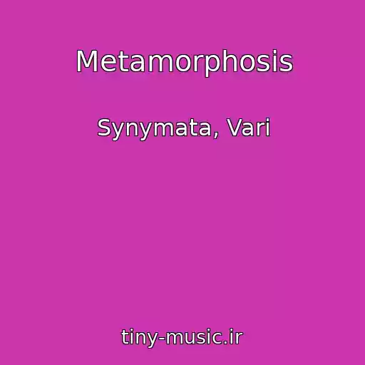 کاور آهنگ Metamorphosis از Synymata, Vari