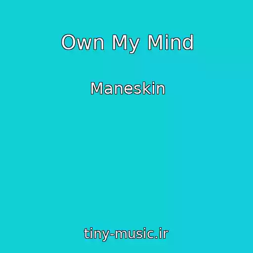 کاور آهنگ Own My Mind از Maneskin