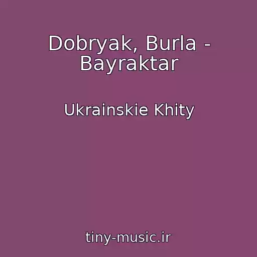 کاور آهنگ Dobryak, Burla - Bayraktar از Ukrainskie Khity