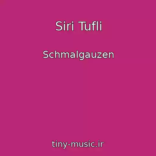 کاور آهنگ Sіrі Tuflі از Schmalgauzen