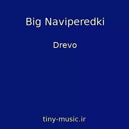 کاور آهنگ Bіg Naviperedki از Drevo