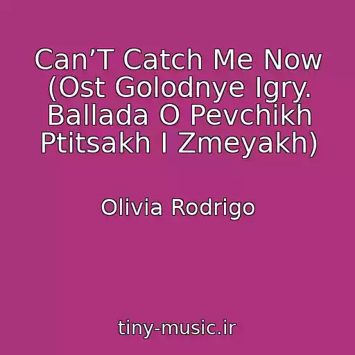 کاور آهنگ Can’T Catch Me Now (Ost Golodnye Igry. Ballada O Pevchikh Ptitsakh I Zmeyakh) از Olivia Rodrigo