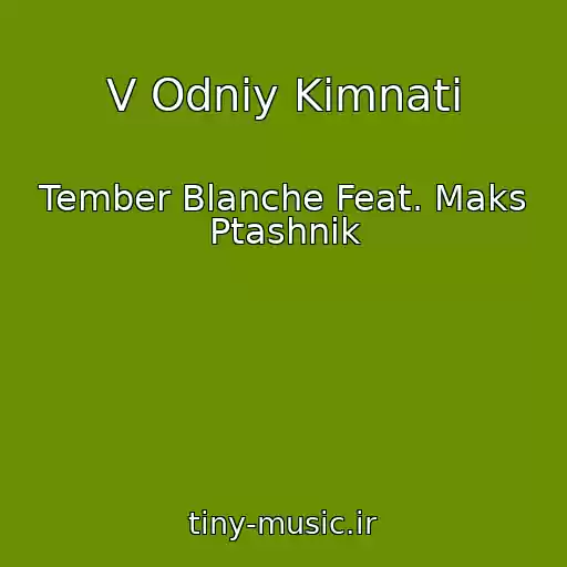 کاور آهنگ V Odnіy Kіmnatі از Tember Blanche Feat. Maks Ptashnik