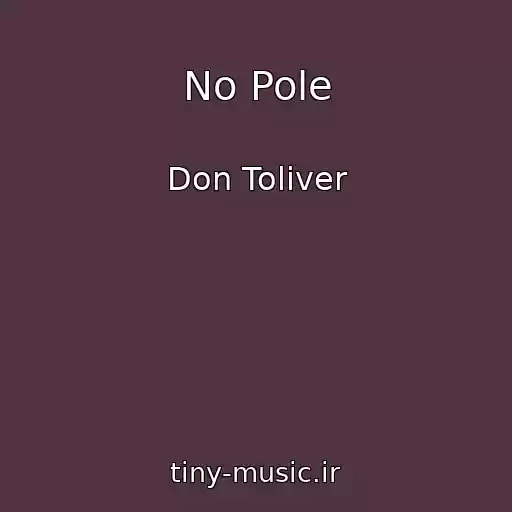 کاور آهنگ No Pole از Don Toliver
