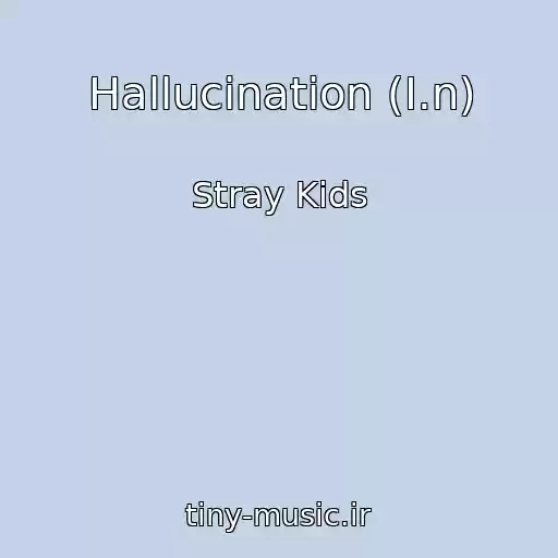 کاور آهنگ Hallucination (I.n) از Stray Kids