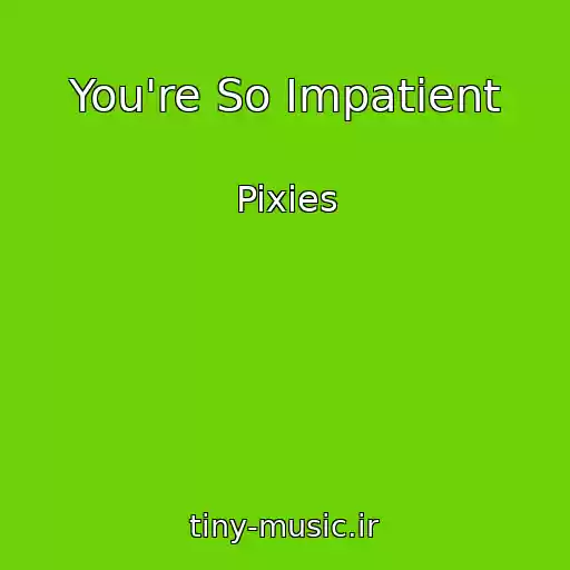 کاور آهنگ You're So Impatient از Pixies