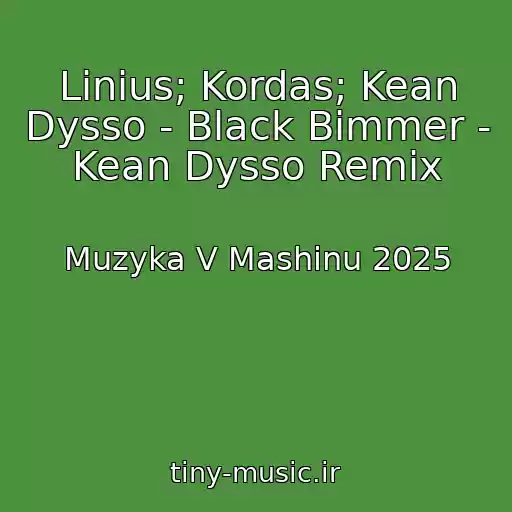کاور آهنگ Linius; Kordas; Kean Dysso - Black Bimmer - Kean Dysso Remix از Muzyka V Mashinu 2025