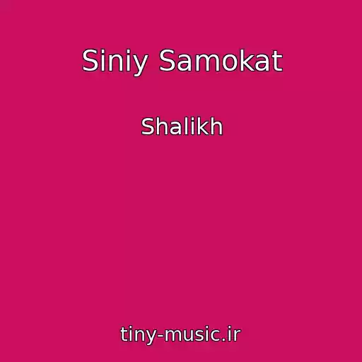 کاور آهنگ Siniy Samokat از Shalikh