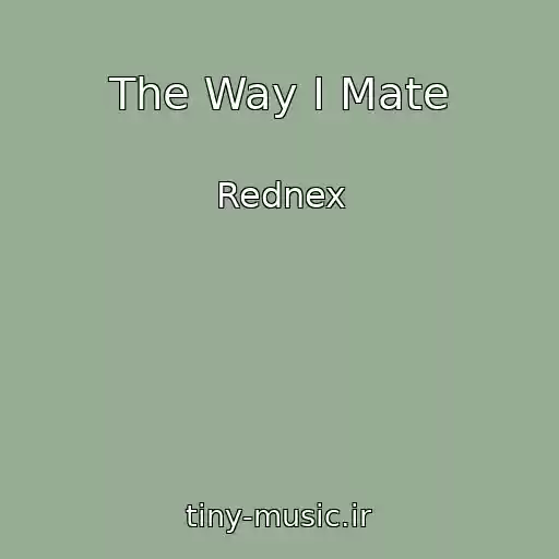کاور آهنگ The Way I Mate از Rednex