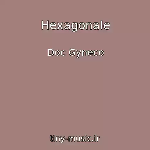 کاور آهنگ Hexagonale از Doc Gyneco