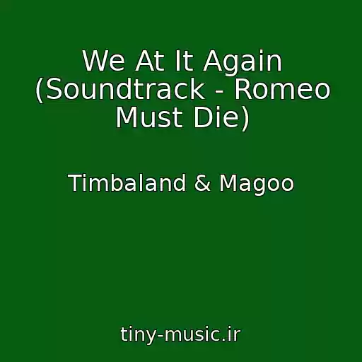 کاور آهنگ We At It Again (Soundtrack - Romeo Must Die) از Timbaland & Magoo