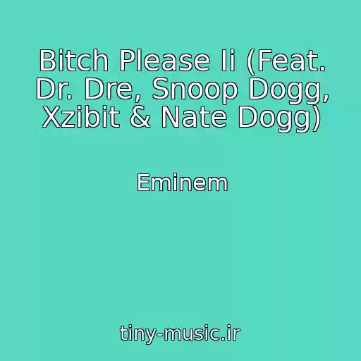 کاور آهنگ Bitch Please Ii (Feat. Dr. Dre, Snoop Dogg, Xzibit & Nate Dogg) از Eminem
