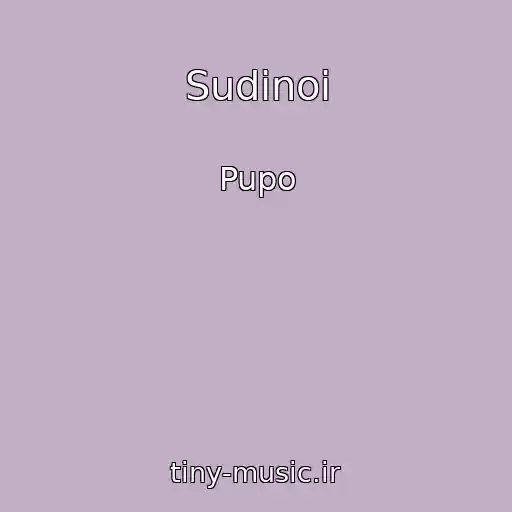 کاور آهنگ Sudinoi از Pupo
