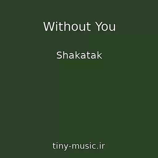 کاور آهنگ Without You از Shakatak