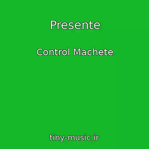 کاور آهنگ Presente از Control Machete
