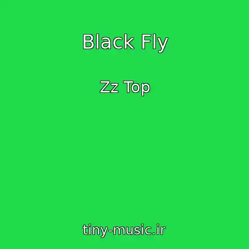 کاور آهنگ Black Fly از Zz Top