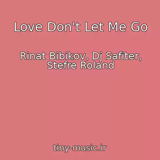 کاور آهنگ Love Don't Let Me Go از Rinat Bibikov, Dj Safiter, Stefre Roland
