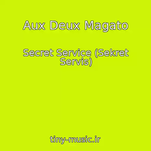 کاور آهنگ Aux Deux Magato از Secret Service (Sekret Servis)