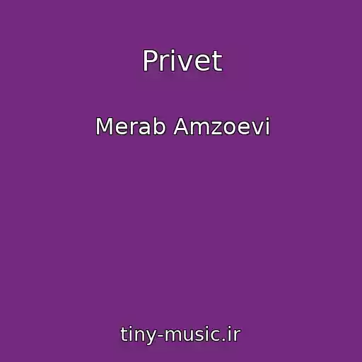 کاور آهنگ Privet از Merab Amzoevi