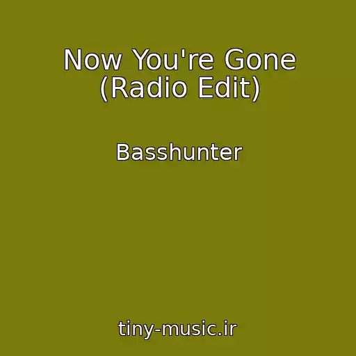 کاور آهنگ Now You're Gone (Radio Edit) از Basshunter