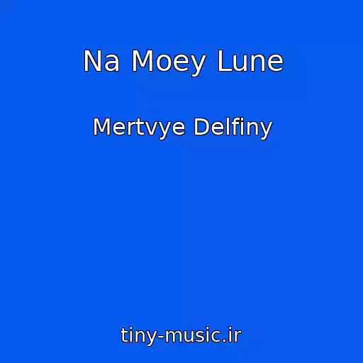 کاور آهنگ Na Moey Lune از Mertvye Delfiny