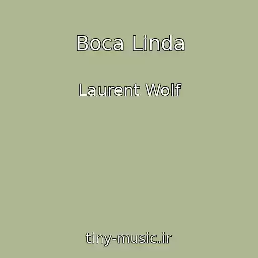 کاور آهنگ Boca Linda از Laurent Wolf