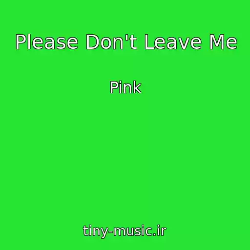 کاور آهنگ Please Don't Leave Me از Pink