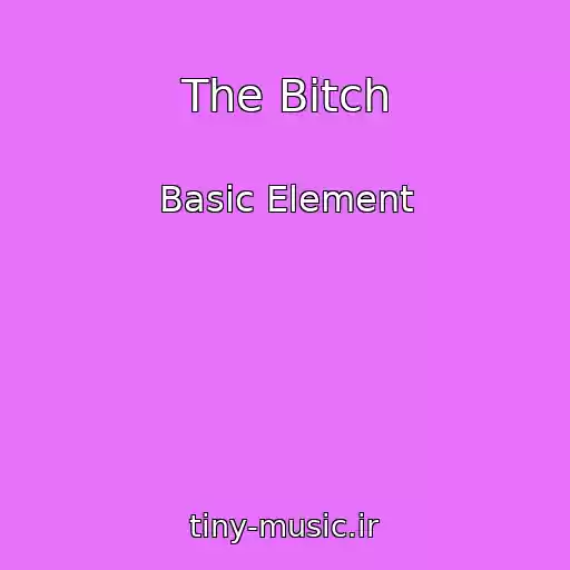 کاور آهنگ The Bitch از Basic Element