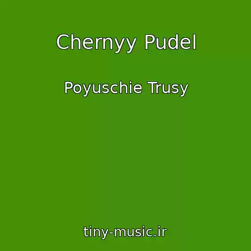 کاور آهنگ Chernyy Pudel از Poyuschie Trusy