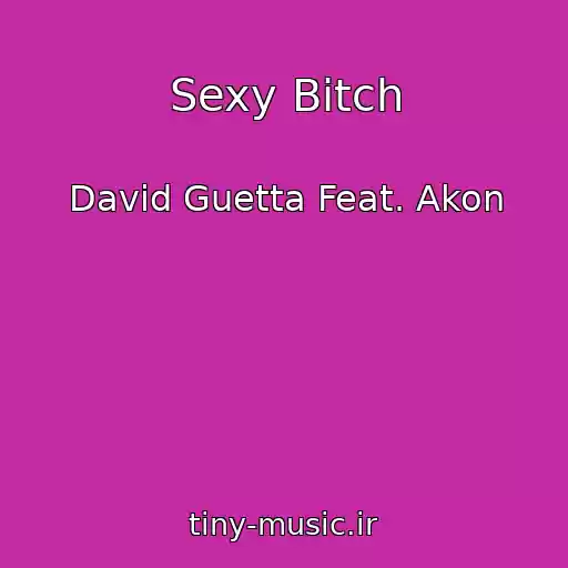 کاور آهنگ Sexy Bitch از David Guetta Feat. Akon
