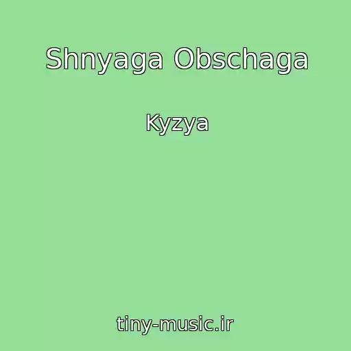 کاور آهنگ Shnyaga Obschaga از Kyzya