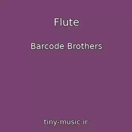 کاور آهنگ Flute از Barcode Brothers