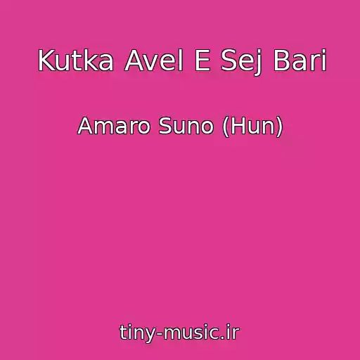 کاور آهنگ Kutka Avel E Sej Bari از Amaro Suno (Hun)