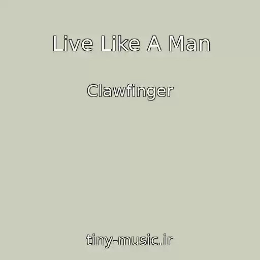 کاور آهنگ Live Like A Man از Clawfinger