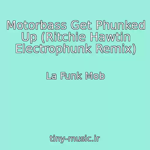 کاور آهنگ Motorbass Get Phunked Up (Ritchie Hawtin Electrophunk Remix) از La Funk Mob