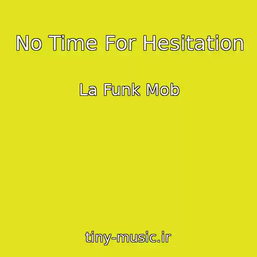 کاور آهنگ No Time For Hesitation از La Funk Mob