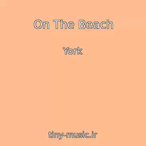 کاور آهنگ On The Beach از York